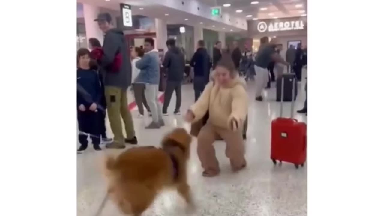 the dog reaction when saw his owner after years