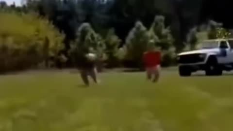 Midget Comp