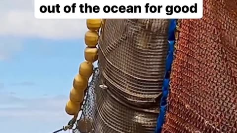 So Much Waste Dumped Into The Sea😱