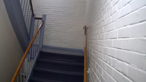 3868FHOB01Stair5_2021-01-05_01h00min00s423ms.mp4