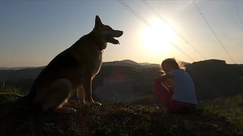 Look at this wonderful nature with the cute dog🙈❤