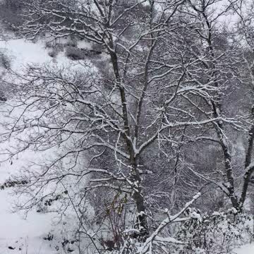 Дом на окраине