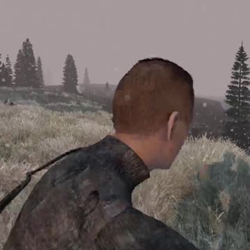 NEVER Cross The Line In DayZ