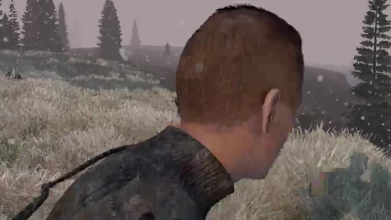 NEVER Cross The Line In DayZ