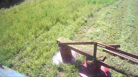 Tractor mows the grass