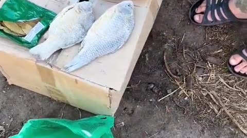 New Ukrainian MREs Are Next-Level