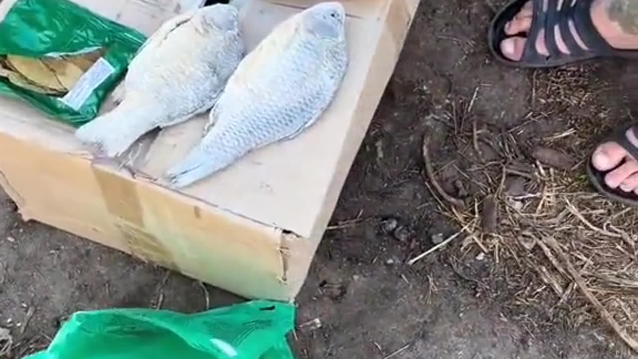 New Ukrainian MREs Are Next-Level