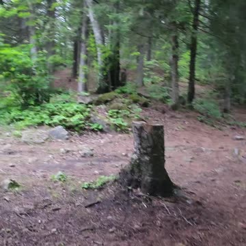 06-11-24 | Park Lake ATV Ride |#shorts | Part-3