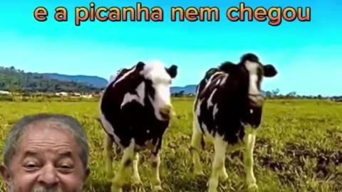 Música Nova