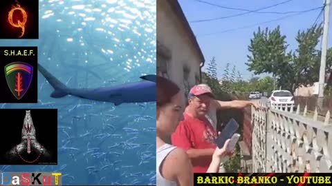 Serbien Live 08/2021