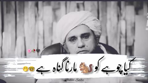 Kia chohey ko Marna gonah hay | Ask Mufti Tariq Masood