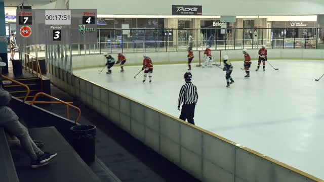 First attempt for SA Ice Hockey - Any Commitators out there?