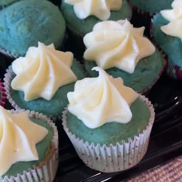 #vanillacupcakes #tamararoseblodgett