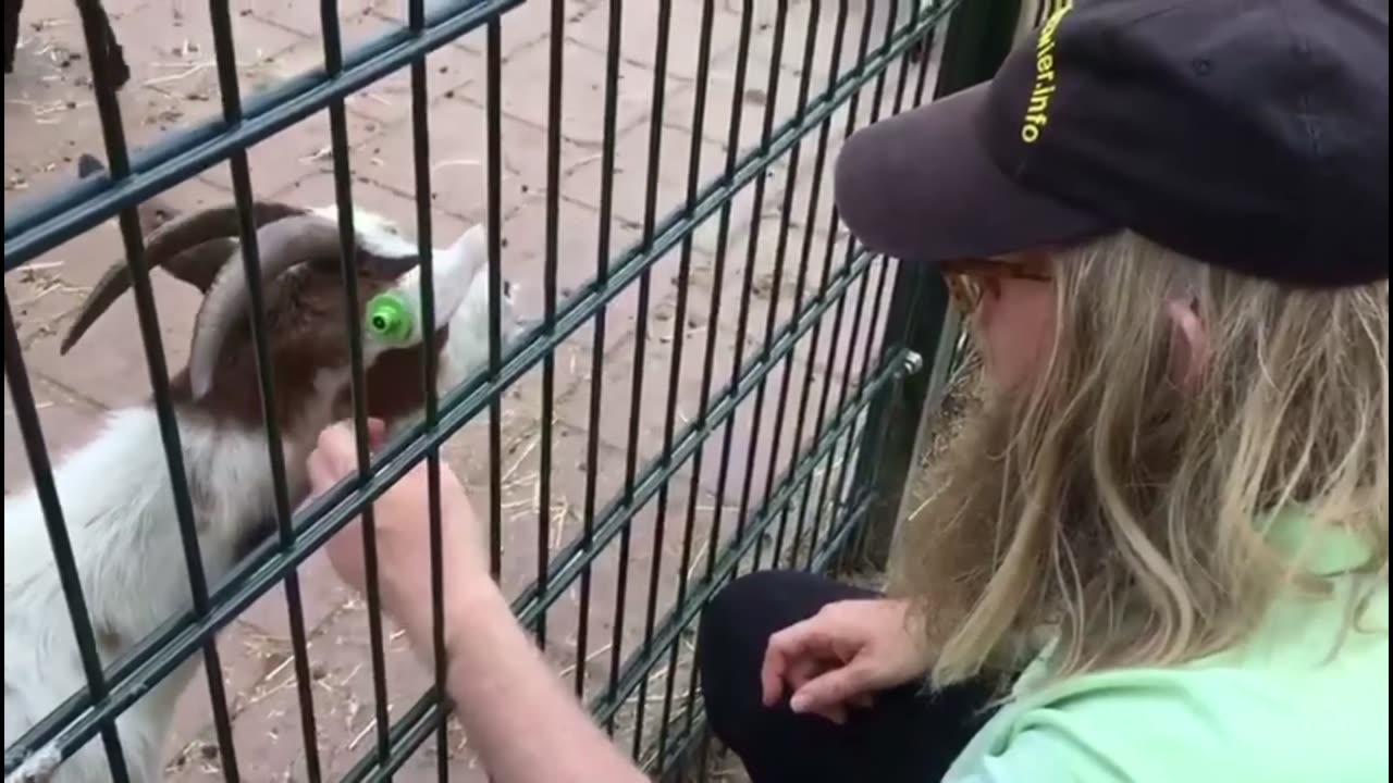 Happend op de kinderboerderij de Bonte koe Borne - #happen #kinderboerderij #bonte #Koe