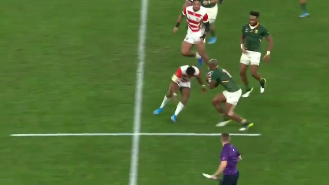 SPRINGBOKS RUGBY WORLD CUP || HYPE TRIBUTE 2023