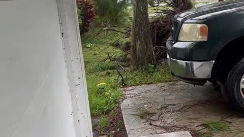 Hurricane Ian Pushes Tree onto Truck