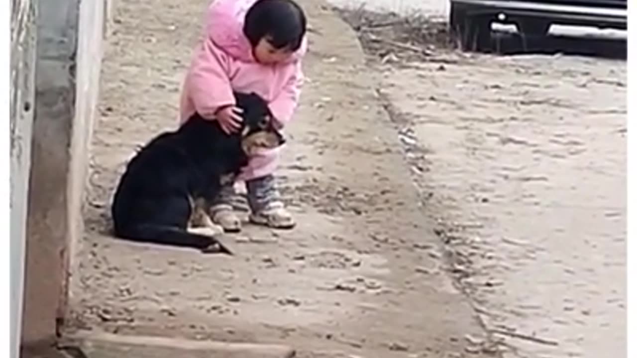 Caring toddler covers dog's ears during fireworks! 🐶😍