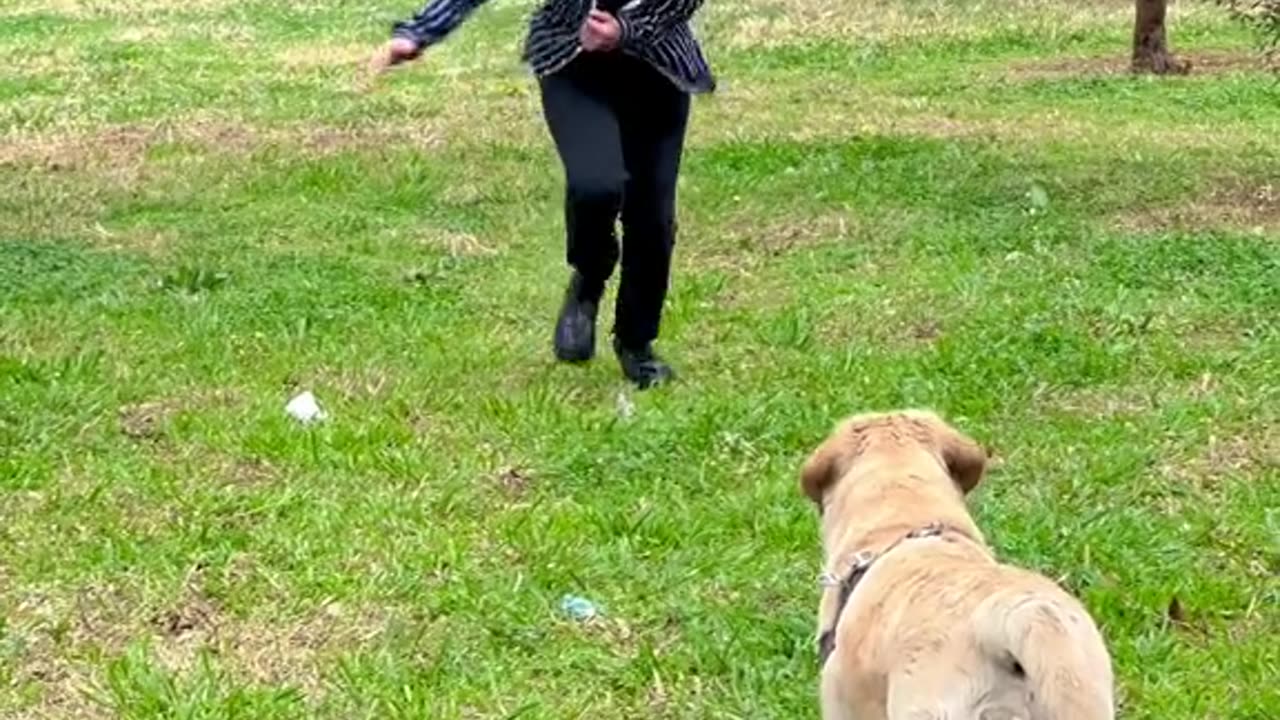 Girl playing with dog 🐶! Dog enjoy 2023