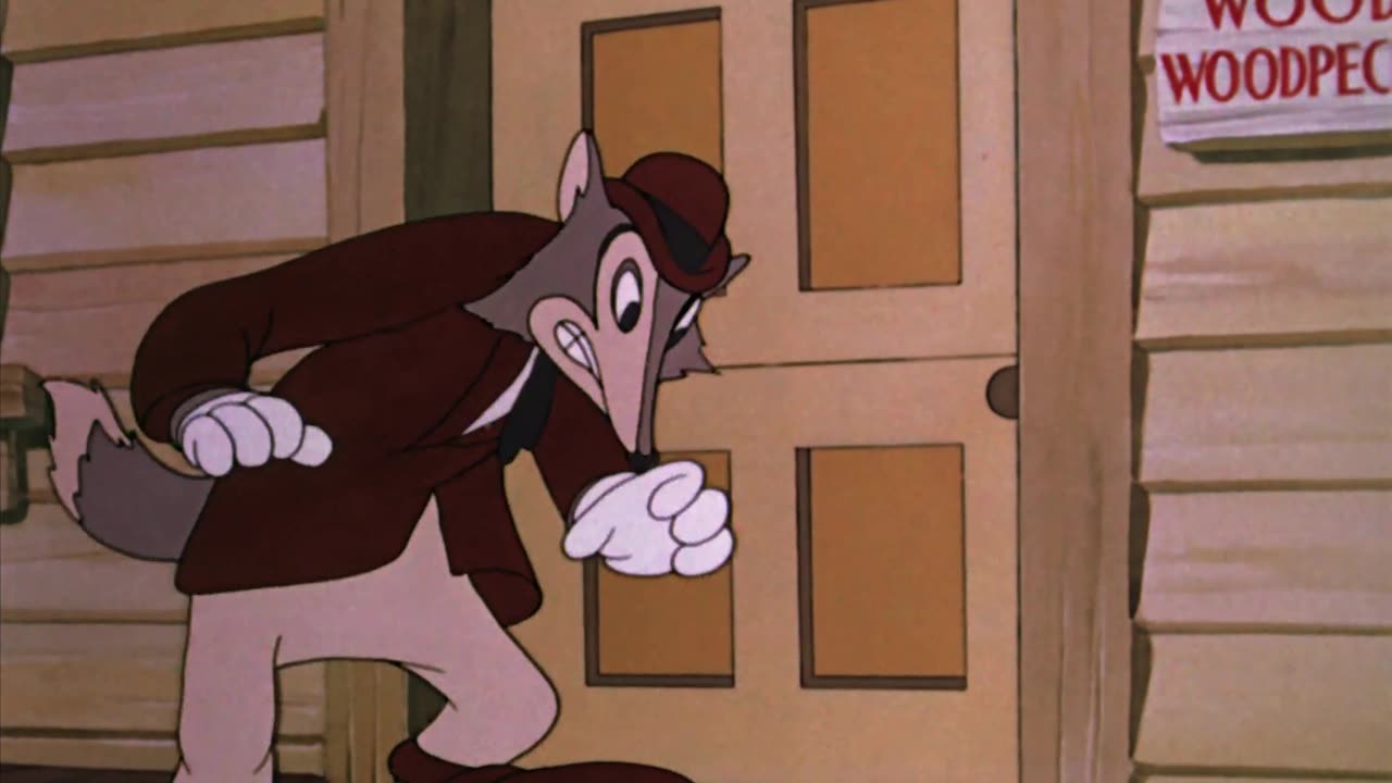 Walter Lantz's Woody Woodpecker Cartoons 6