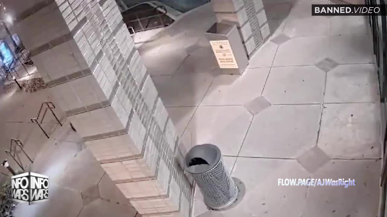 Why Would Alex Jones & Dinesh D' Souza Question The Safest Election In American History?