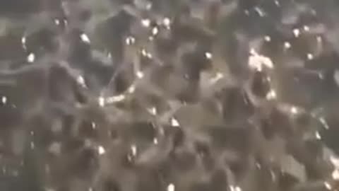 Bruslení v Rusku