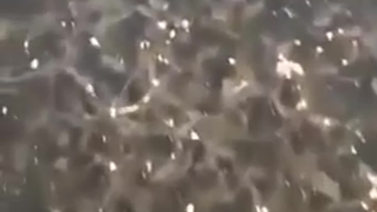 Bruslení v Rusku