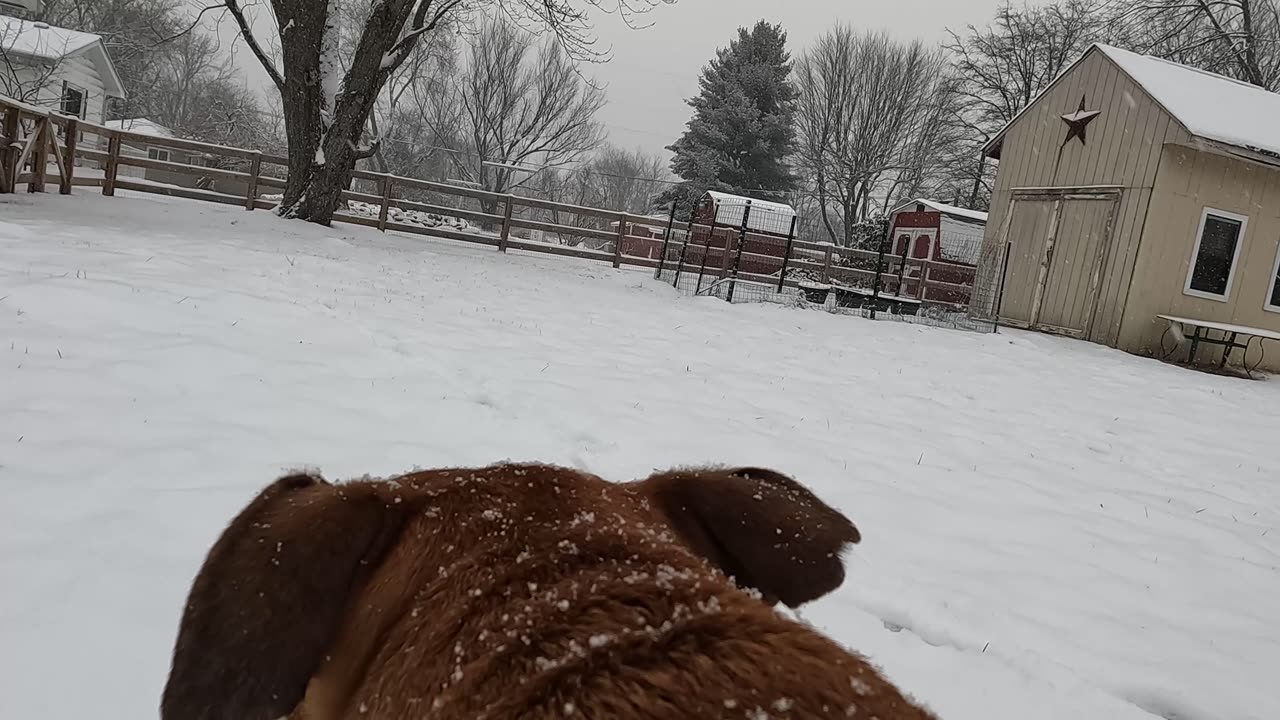 Sadie Snow Day