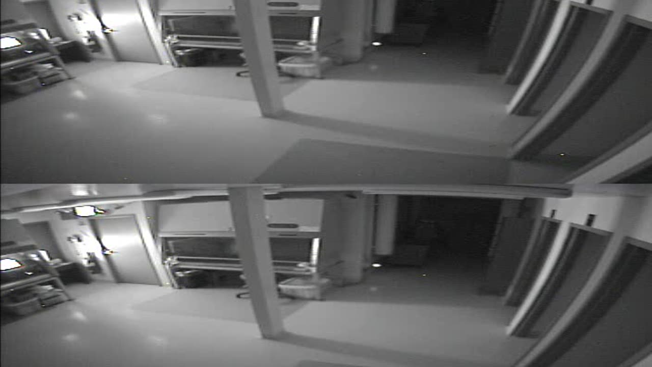 1702CRIB01CribAnalysisArea_2021-01-05_02h00min00s140ms.mp4