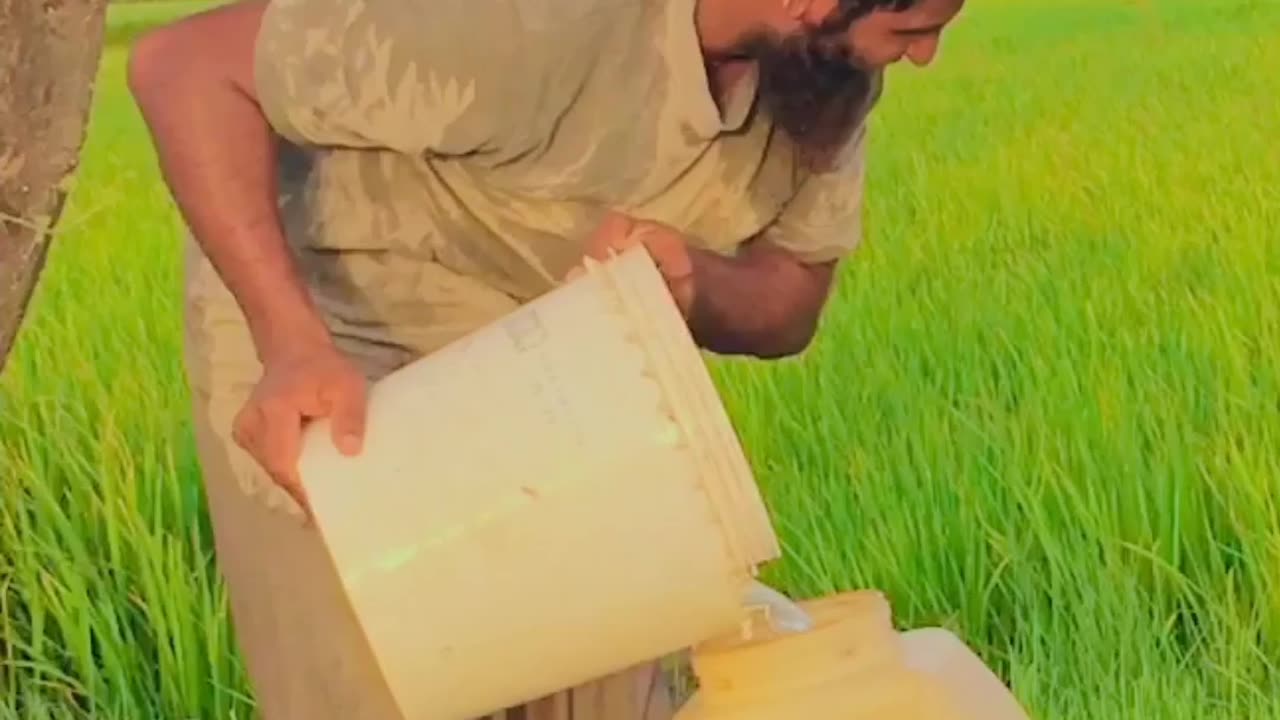 Village life | rural system in Pakistan
