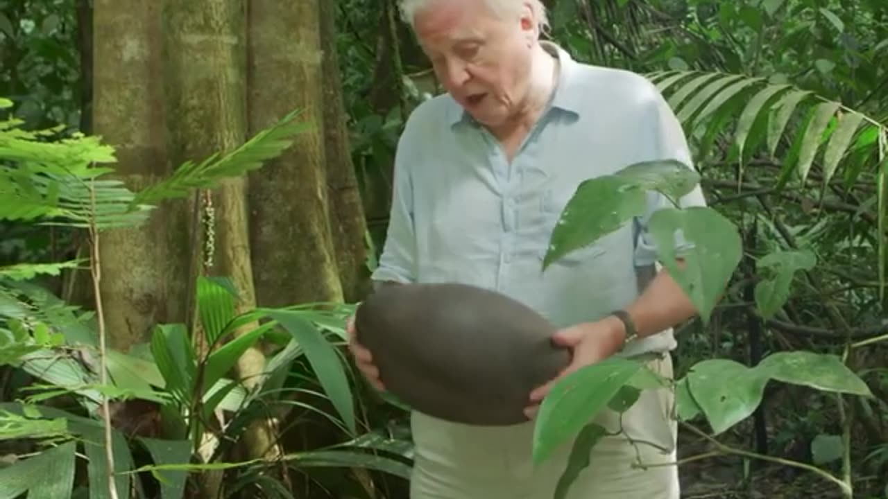 Sir David sowing the seeds of knowledge 🌱