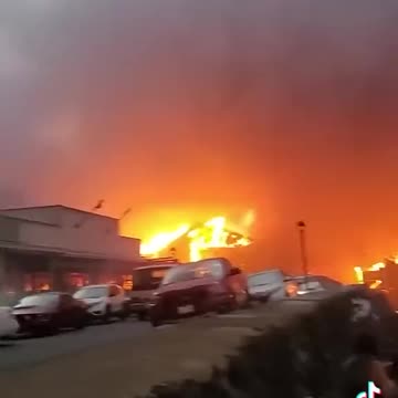 Lahaina residents hiding outside the sea wall hiding from the incoming flames.
