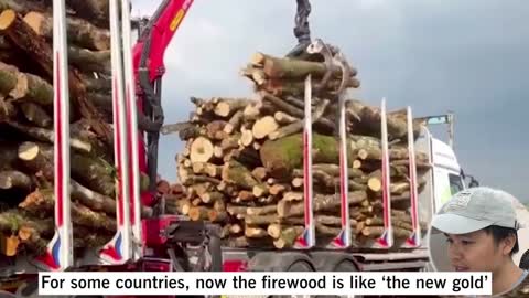 Daily HOT - Europe_ Firewood is the new gold_