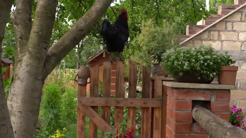 Azerbaijan Village Breakfast: A Delicious Morning in the Countryside