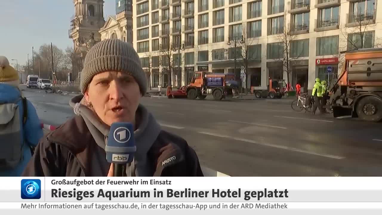 Groß-Aquarium "Aqua-Dom" in Berliner Hotel geplatzt