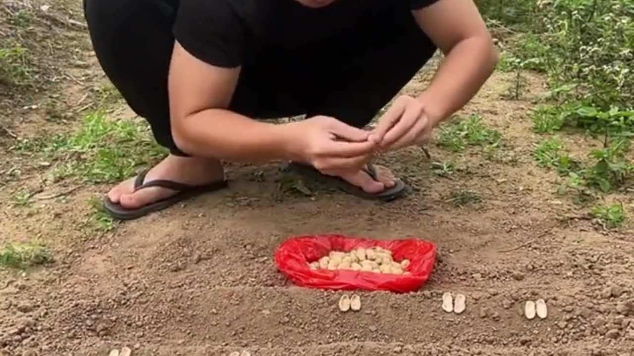 Funny video