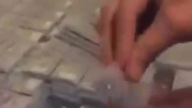 Gifts from Joe Biden in Afghanistan
