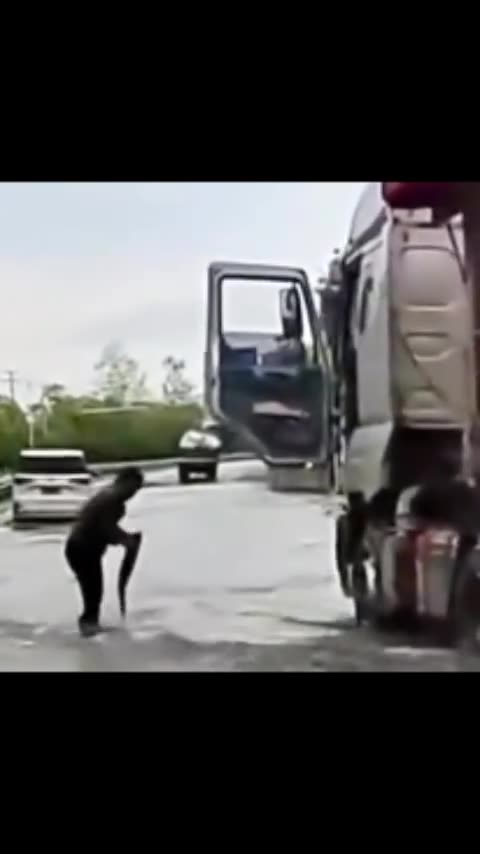 Big fish in the road 🤣😂