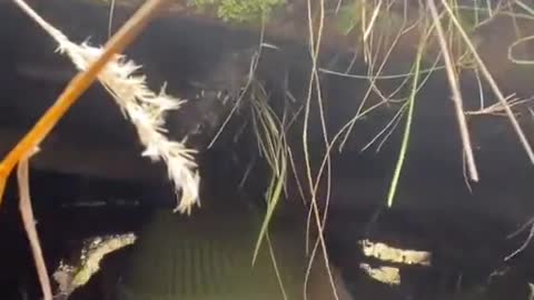 Ukraine Next Level Trenches 👀