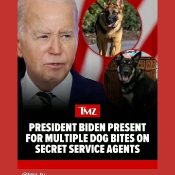 Joe biden got attacked by dogs to bad so sad 6/27/24