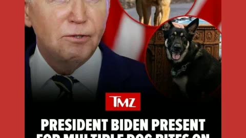 Joe biden got attacked by dogs to bad so sad 6/27/24