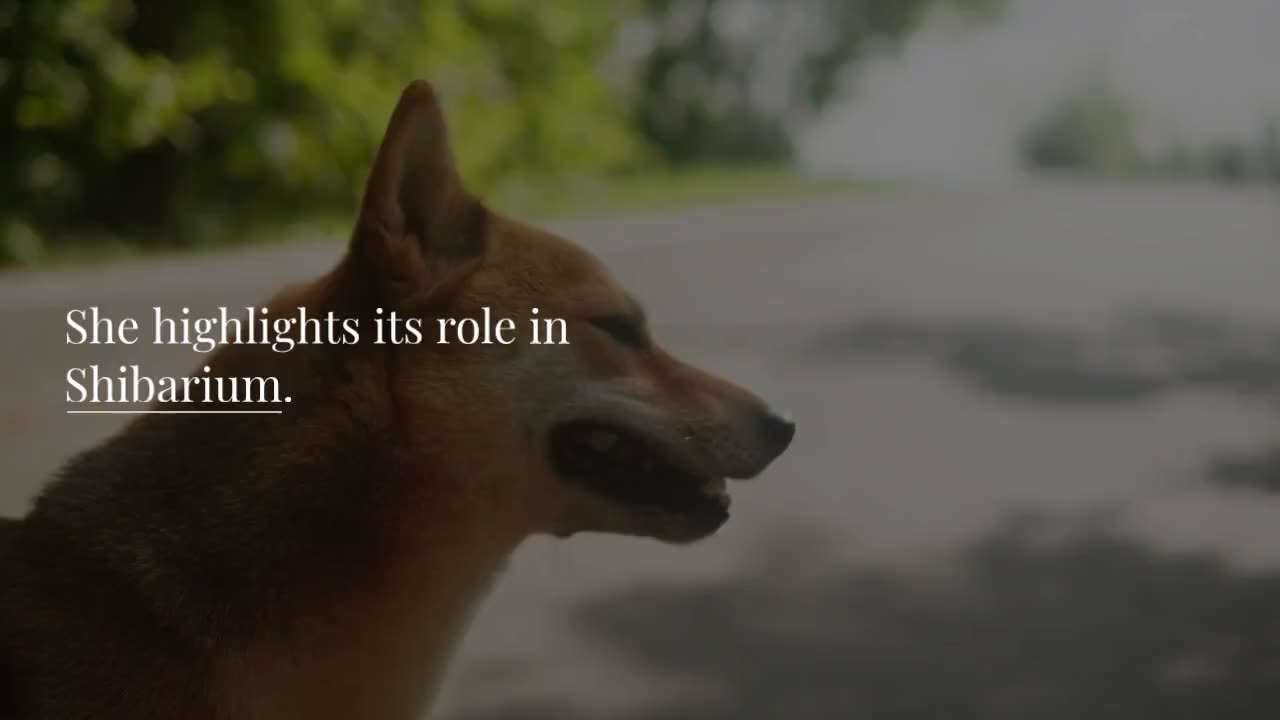 Shiba Inu’s Lucie Advocates For Binance Listing BONE as Liquid Staking on Shibarium Thrives