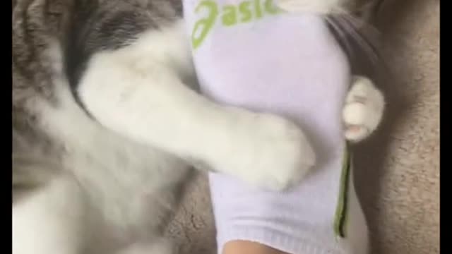 Feet are his enemy and he must destroy them