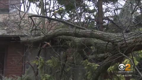Strong winds cause some damage across New York City