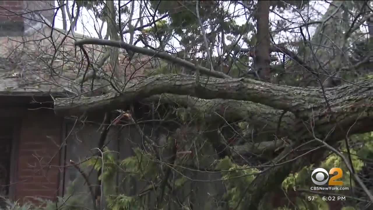 Strong winds cause some damage across New York City