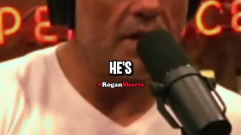 Joe Rogan on Bradley Martyn vs Mighty Mouse