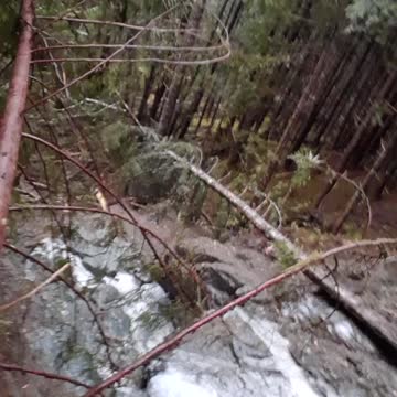 Exploring a slide for gold