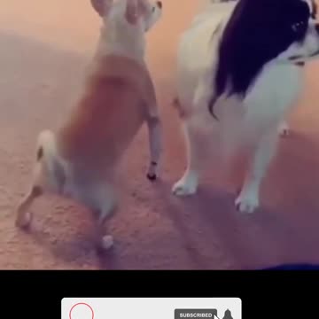 funny videos of 2023 try not to laugh 🤣😂