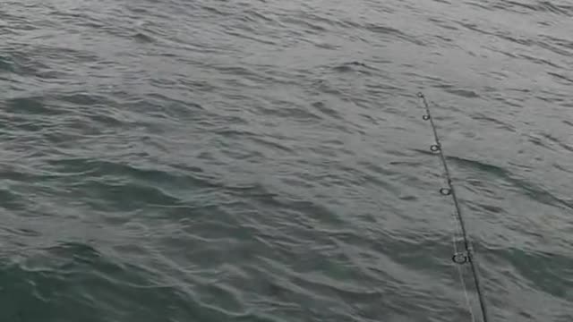 fishing#fishtok