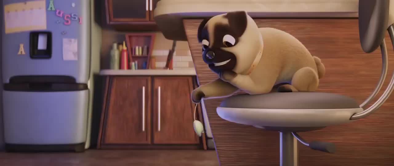 Animation Short #21 Cats and Dogs, by The Animation School