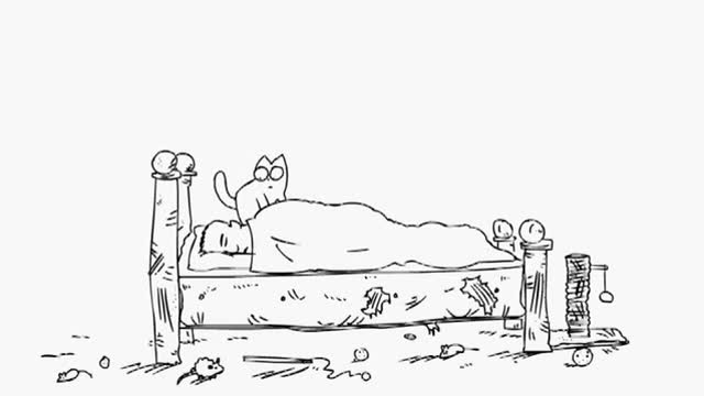 People get along with funny cats
